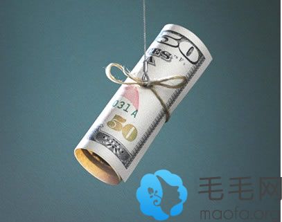 植发的费用主要由哪些因素决定
