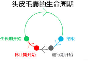 低能量激光治疗脱发多久见效 适用哪些脱发人群