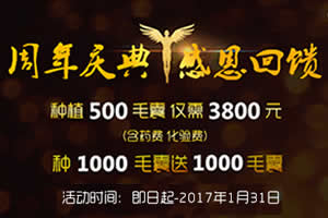 植发新年优惠活动 500毛囊3800元包干植1000送1000