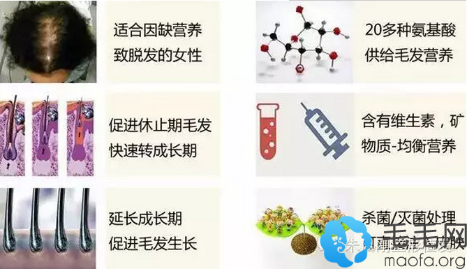 中胚疗法专用液Ballvic PT成分