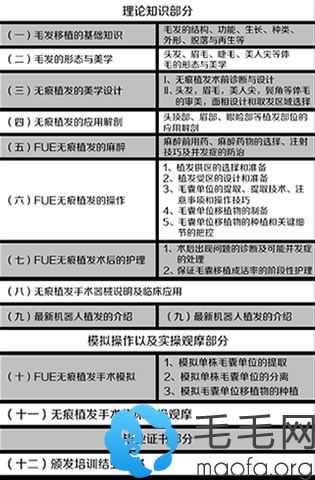 培训课题大纲_2017毛发移植实操学习班