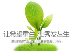 成都正规植发有哪些 头发种植医生和技术怎么样？