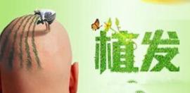 深圳哪家医院植发效果好 种植头发价格大概多少钱？