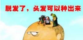 徐霞解析什么時(shí)間植發(fā)效果好 種植頭發(fā)有沒有限制
