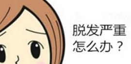 经常掉头发是什么原因？通过吃什么食物可以调理？