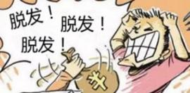 秃顶的原因 你所不知道的治疗秃顶三步骤