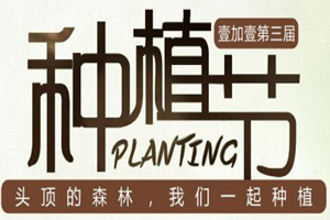 合肥壹加壹第三届头发种植节开启 200毛囊单位仅需1元