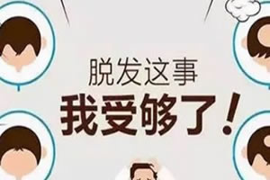 男性雄性激素脱发怎么治？范卫新植发医生详细解答