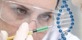 若毛囊克隆实验成功 米诺地尔和非那雄胺治脱时代就结束了