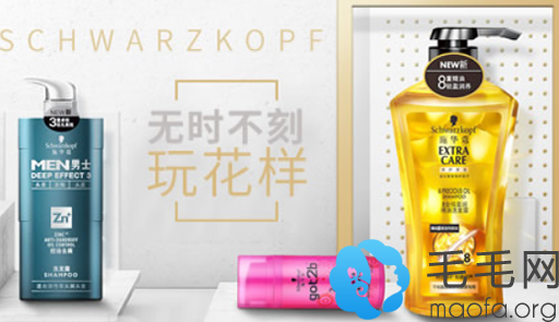 使用Schwarzkopf施华蔻品牌洗发水治疗脱发