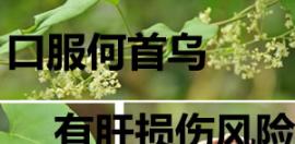 上海华美植发紧急通知：治疗脱发绝不能使用生何首乌