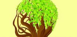 北京做毛发移植医院很多 今天只说口碑较好的植发医院地址