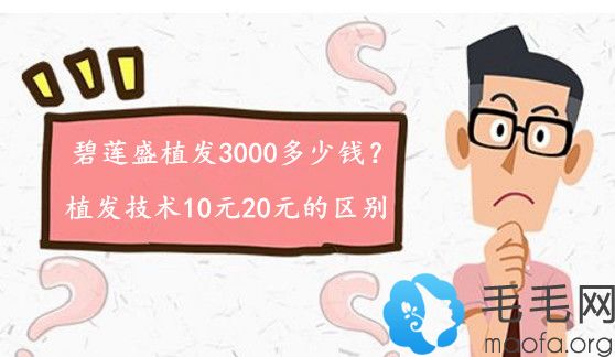 真实见闻:南京碧莲盛植发3000多少钱?植发手术10元20元的区别