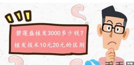 真实见闻:南京碧莲盛植发3000多少钱?植发手术10元20元的区别