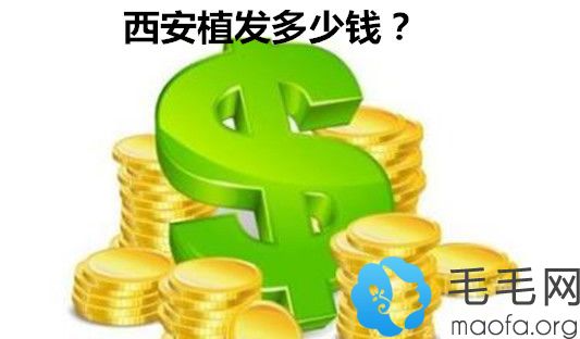 西安植发多少钱？看西安植发价格/费用表