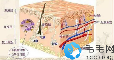 麻药会不会对人体造成影响
