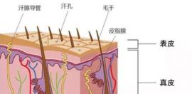 用图文并茂形式告诉你植发后遗症的存在是真是假