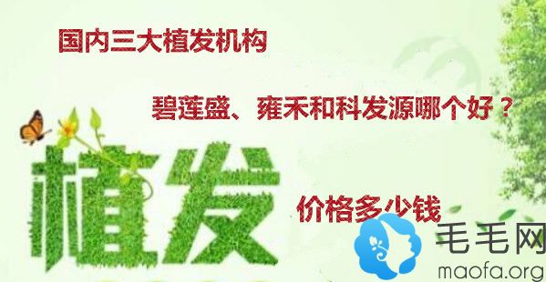 国内三大植发机构是哪三家:碧莲盛//科发源先后排名前3