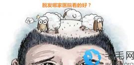脱发哪家医院看得好 走访北京/上海/广东获悉医院/医生名单