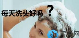 每天洗头好吗？长期天天洗头会导致脱发吗?看过本文就知道