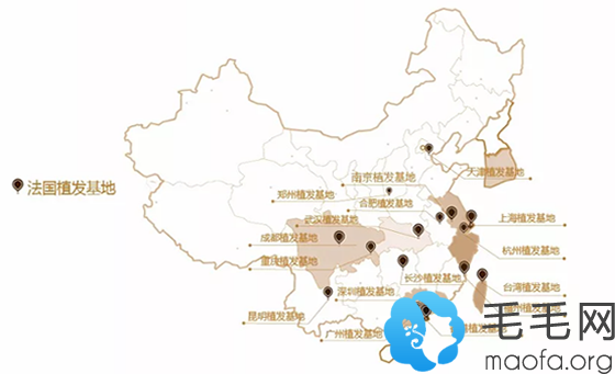 新生植发在全国22城有连锁分院