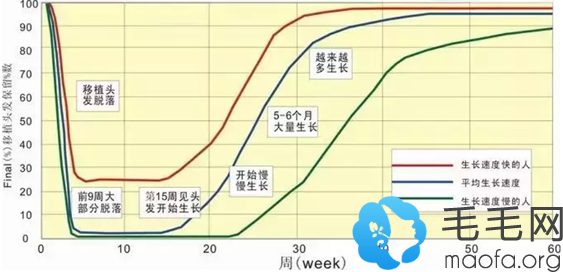 头发生长规律啦和植发脱落期啦。