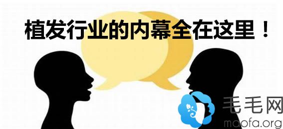 大家千万不要毛囊移植?关于植发行业及价格上的内幕看这里