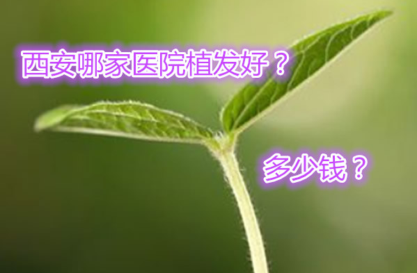 西安哪家医院植发好多少钱 熬夜都要看西安植发医院排行榜