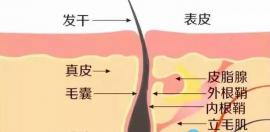 为什么头发出油用控油洗发水没有效果，还越洗越油？