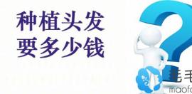 内行人公开种植头发的价格表,关于植发价格是多少钱看这里