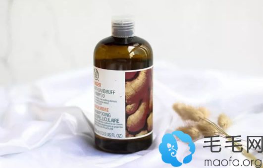 生姜洗发水哪个牌子好 thebodyshop防脱发生姜洗发水怎么样