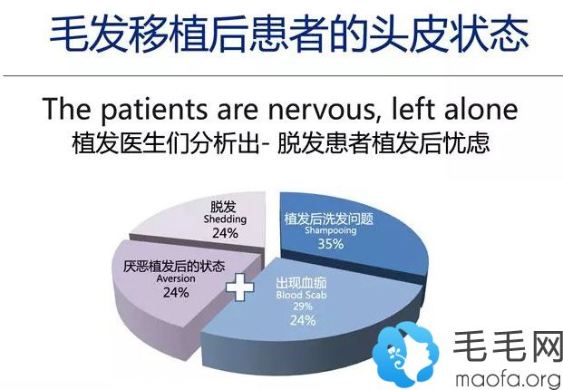 毛发移植后忧虑的问题占比