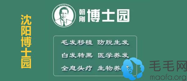 沈阳博士园植发