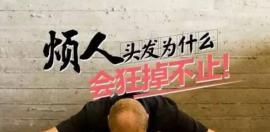 这四种脱发类型的人不用做植发手术，快看您属于哪一种？