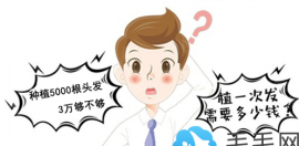 头发种植需要多少钱?种植5000根头发3万元能不能搞定