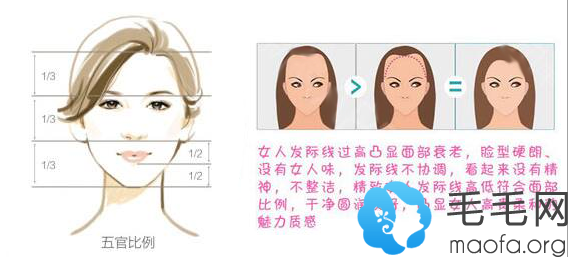 发际线位置在美学标准中有很重要的地位