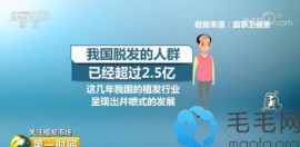 国内植发机构水平参差不齐,什么样的专业机构更让人放心