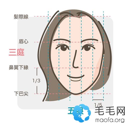 女人前额发际线有五指宽算高吗?