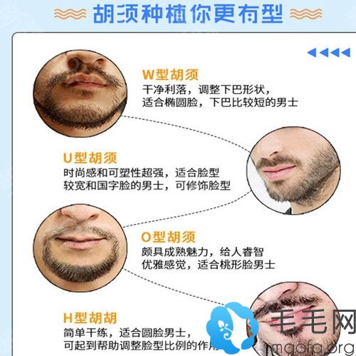 他擅長不同類型的胡須種植