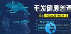 快来深圳享10元起/株的矩阵式fue无痕植发!内含种发际线价格