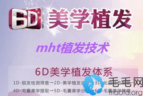MHT6D美学无痕植发
