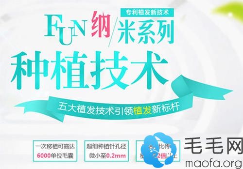 FUN纳米无痕植发技术