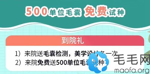 500单位毛囊免费试种活动