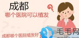 告訴你成都哪個(gè)醫(yī)院能植發(fā),并有種眉毛12800元起優(yōu)惠給你說