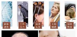 德草坊何首乌防脱育发液生发效果怎么样、价格贵不贵?