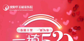 在沈阳植发一个毛囊多少钱?520特别活动520毛囊单位=520元