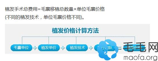 植发价格计算方式