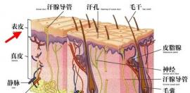 植发安全吗有没有副作用的答案今日广州青逸植发来揭晓啦!