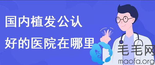 国内公认好的植发医院在哪里?植发技术好是他们成名的主因