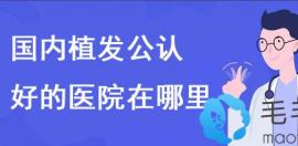 国内公认好的植发医院在哪里?植发技术好是他们成名的主因